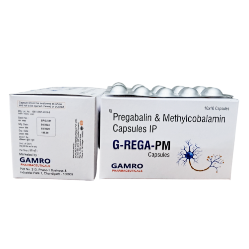 G-REGA-PM